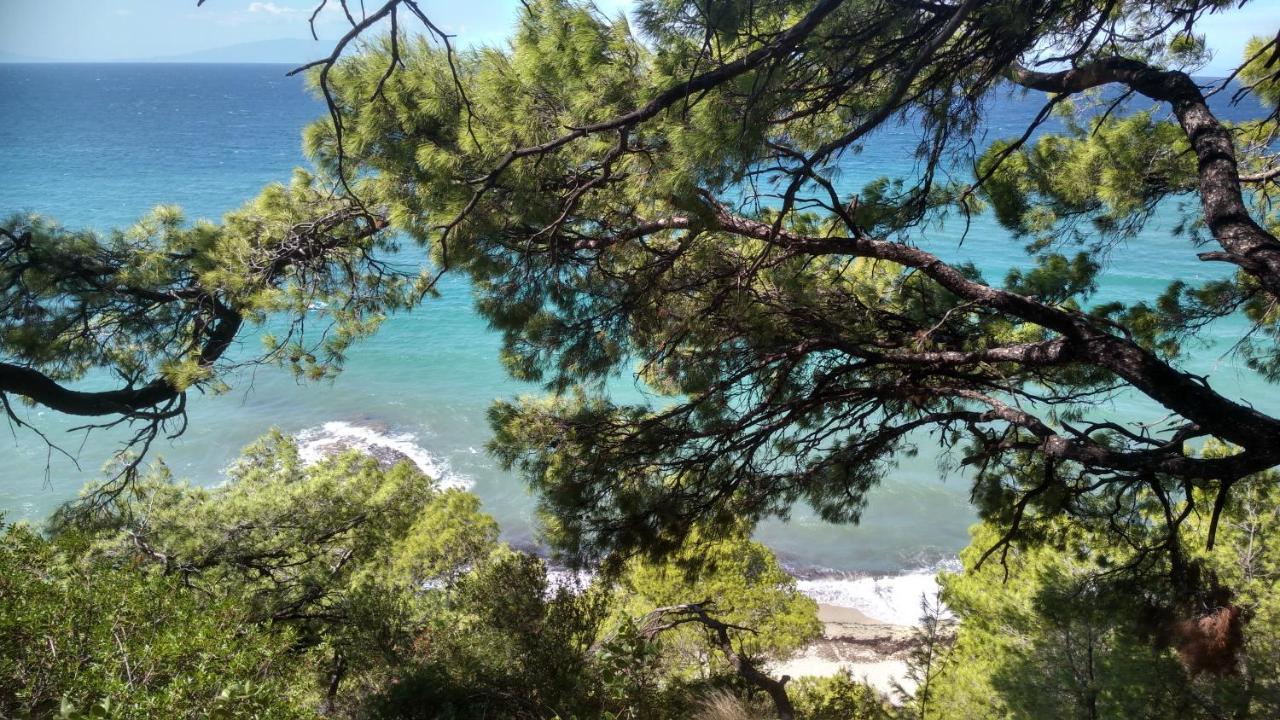 Вилла 2-Bed Maisonette In Pine Forest, 250M From Beach Between Skala Fourka And Siviri Скала-Фуркас Экстерьер фото